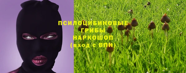 трава Абинск