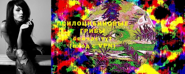 трава Абинск