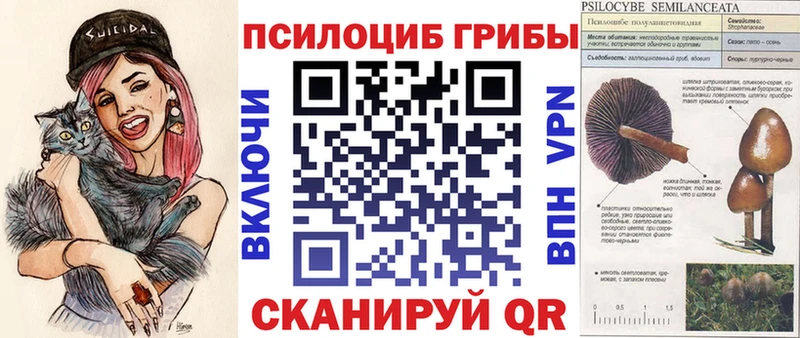 купить наркотики сайты  Нижневартовск  Галлюциногенные грибы Cubensis 