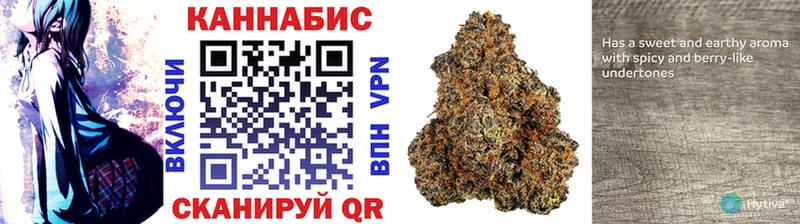 Канабис сатива купить omg как зайти Нижневартовск